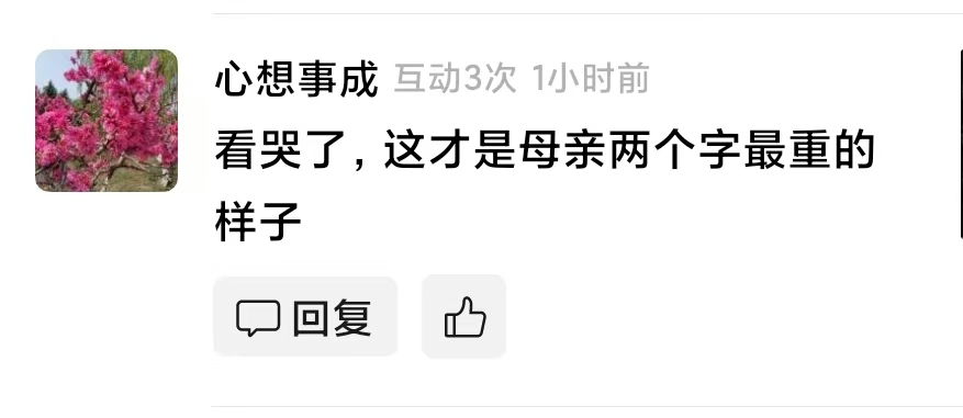 心想事成的真实评论：母亲两个字最重的样子
